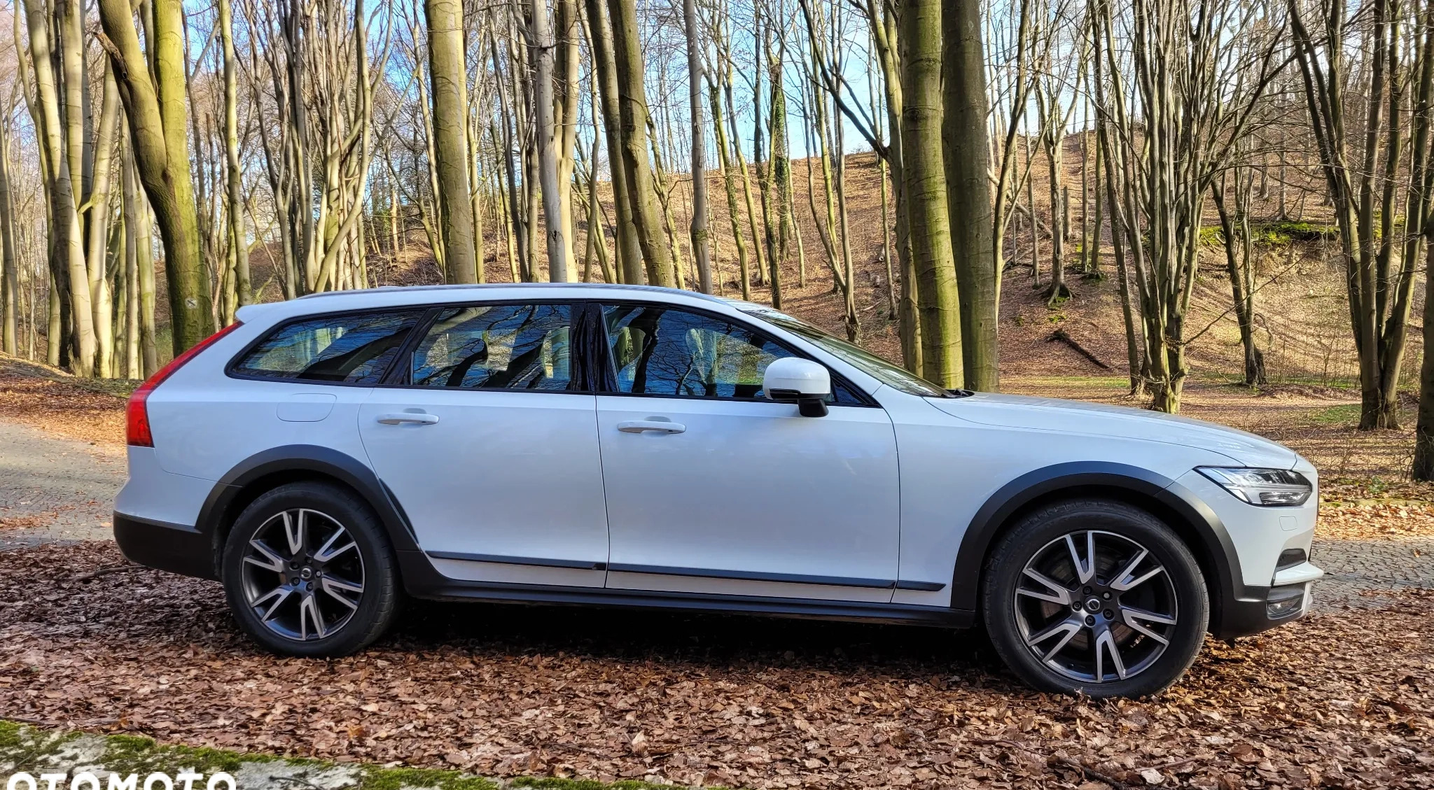Volvo V90 Cross Country cena 129900 przebieg: 182000, rok produkcji 2020 z Zdzieszowice małe 704
